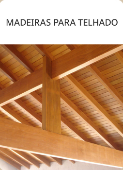 Captura de tela de 2025-06-15 12-20-36